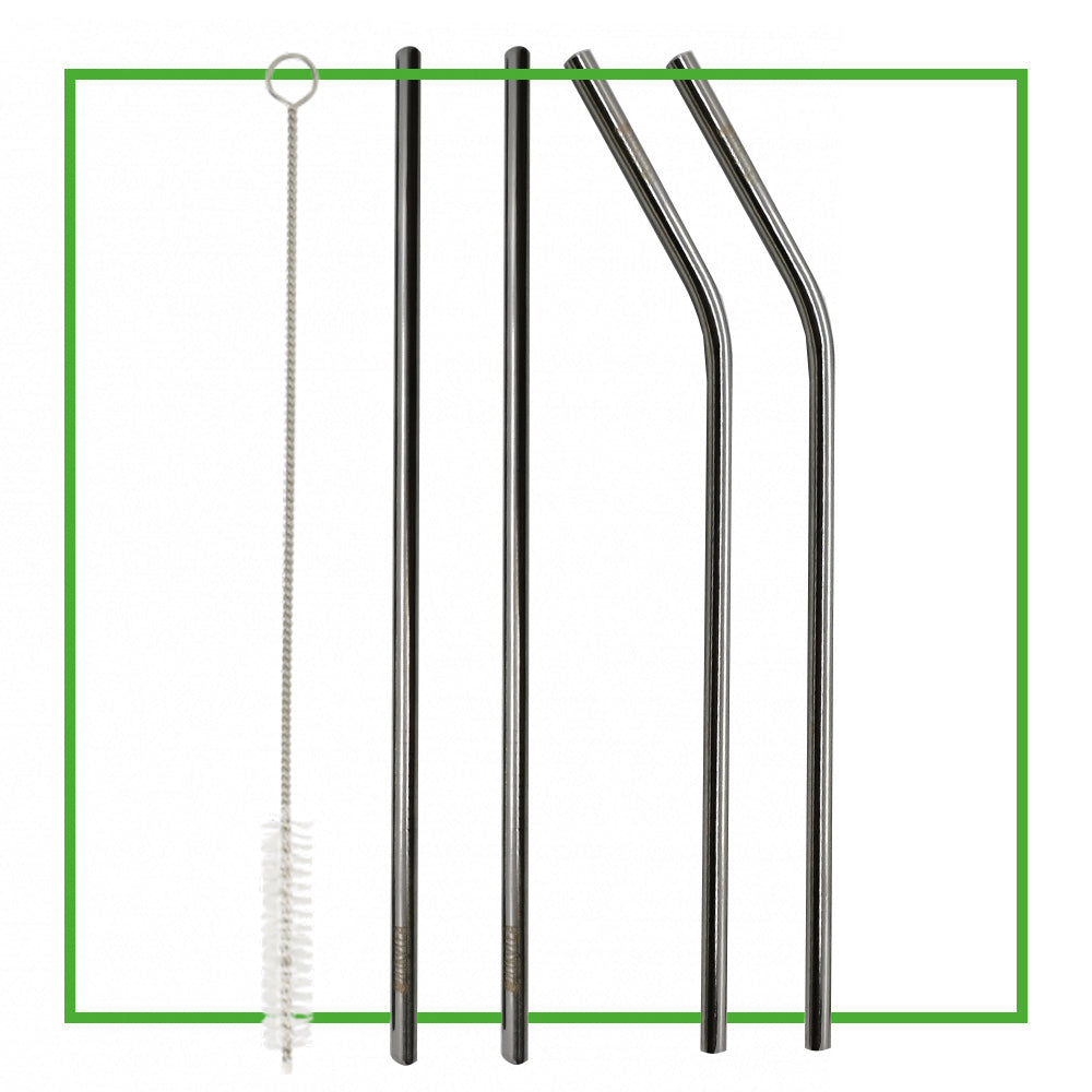 Pailles en Inox - Lot de 4 + Goupillon