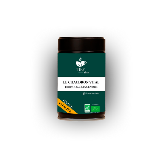 LE CHAUDRON VITAL - Hibiscus & Gingembre - BIO