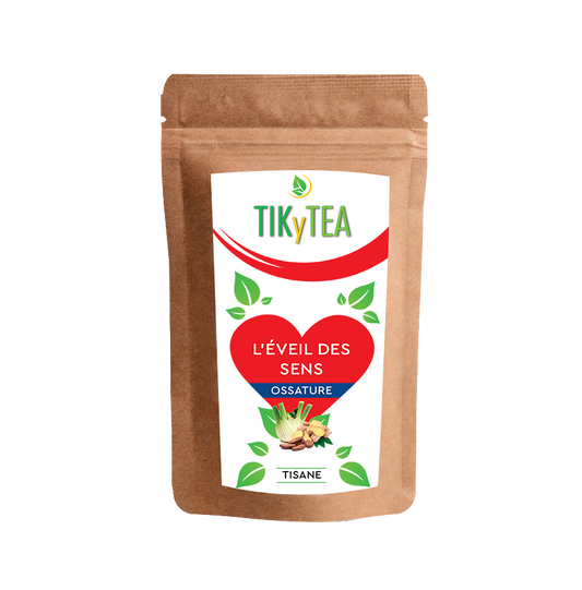 L'ÉVEIL DES SENS - Cacao & Gingembre - TikyTea