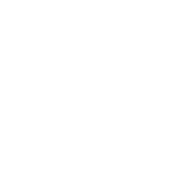 TikyTea